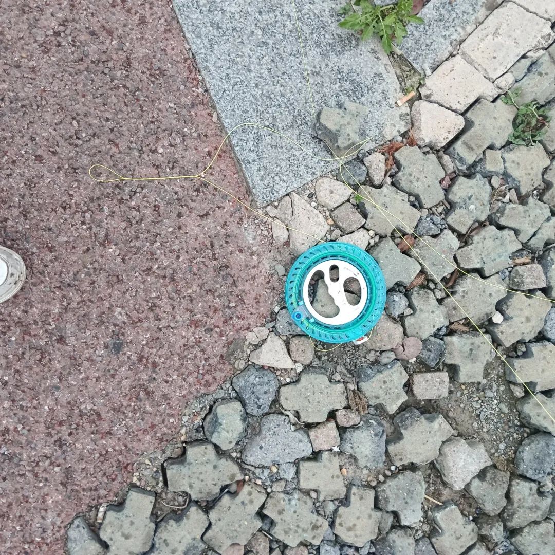 DƬ